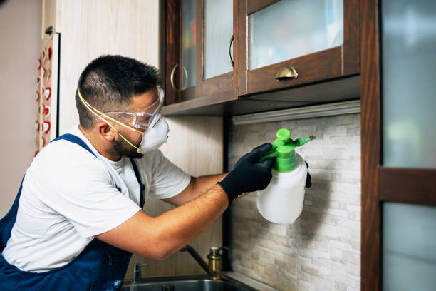 Best Bed Bug Extermination  in Murphy, TX