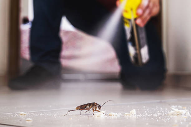 Best Commercial Pest Control Services  in Murphy, TX